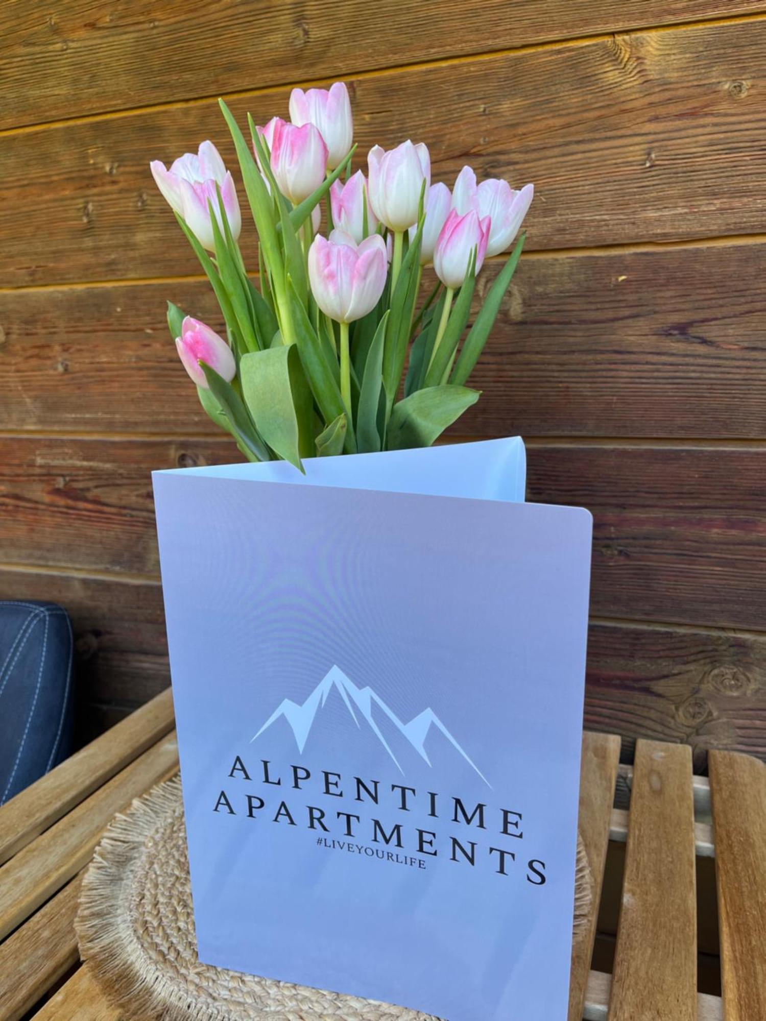Alpentime Apartments Neustift im Stubaital Ngoại thất bức ảnh